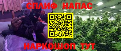 spice Бийск