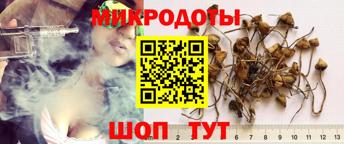 Галлюциногенные грибы GOLDEN TEACHER  Псилоцибиновые грибы мицелий  Бугуруслан  цена наркотик  Вход с VPN 